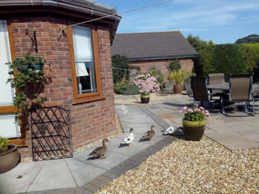 Coastal Garden Lodge Preesall Eksteriør bilde