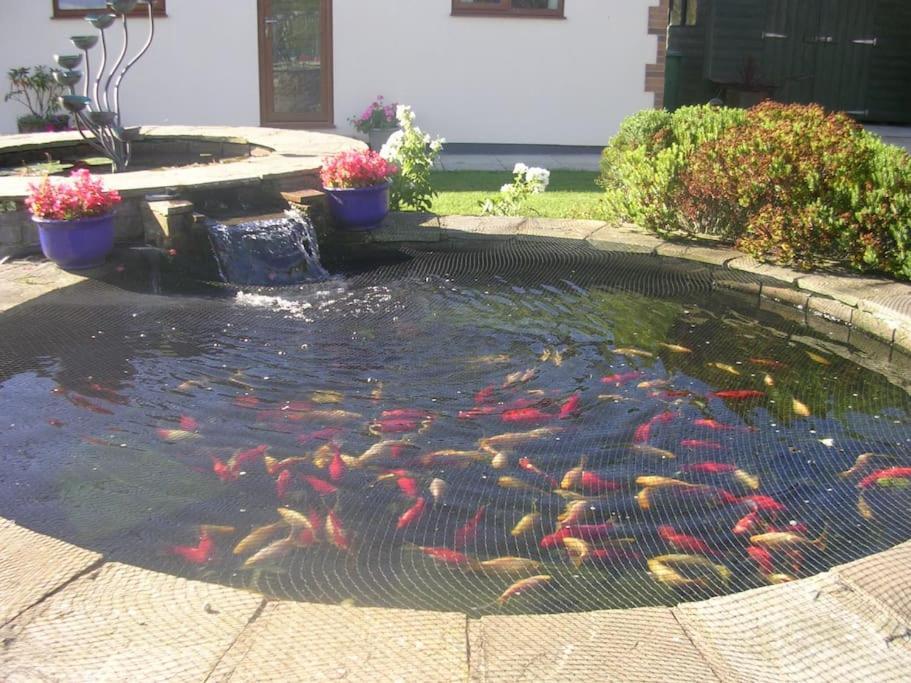 Coastal Garden Lodge Preesall Eksteriør bilde